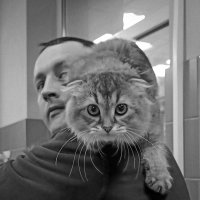 ** :: Борис Руднев