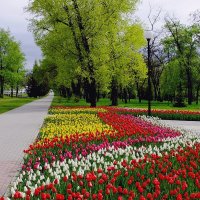 Аллея в парке :: Фёдор Меркурьев