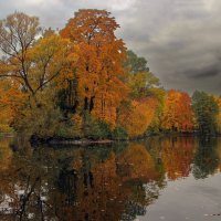 Елагин остров :: skijumper Иванов