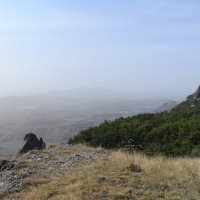 Природа Крыма :: Amazing Cosmea