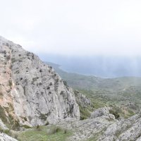 Природа Крыма :: Amazing Cosmea