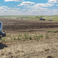 посев пшеницы :: Александр Никишков