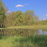 Озерцо :: Евгений Корьевщиков