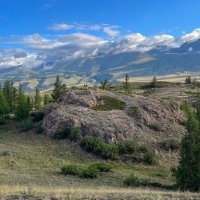 *** :: владимир 