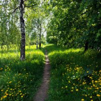 *** :: Владимир Безбородов