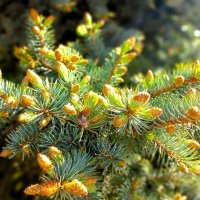 Подуло сильным, тёплым, ласковым ветром :: Hope Подуло сильным, тёплым, ласковым ветром :: Hope