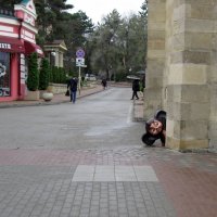 Осторожный Чебурашка :: Galina Solovova