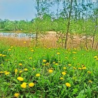 Кажется, дождь собирается... :: veilins veilins