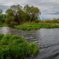 Утро на Клязьме 6 :: Андрей Дворников