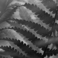 Свет и тени :: Валерий Гришин Свет и тени :: Валерий Гришин