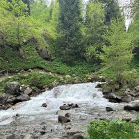 Быстрая река в горах. :: Георгиевич Быстрая река в горах. :: Георгиевич