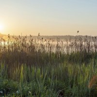 Майское утро на озере :: Валерий Иванович