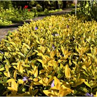 ********** :: Валерия Комова ********** :: Валерия Комова