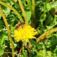 ,,, :: Сергей Тимоновский