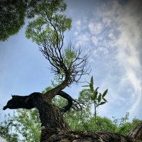 Природа!) :: Любовь Природа!) :: Любовь