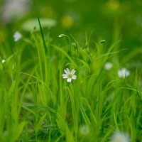 ___ :: Yuriy V ___ :: Yuriy V