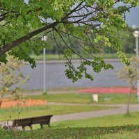 Парк :: k-e-r-g-u-d-u DM