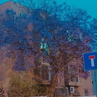 13  ОПЕН (55) :: OPEN WAYS ALL