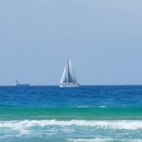 Белеет парус одинокий! :: Светлана Хращевская