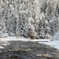 Линдуловская роща :: skijumper Иванов