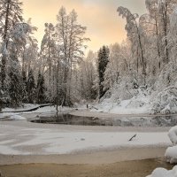 Линдуловская роща :: skijumper Иванов