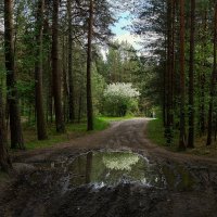 *** :: Владимир 