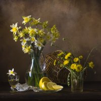 Про нарциссы. :: Оксана Евкодимова