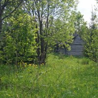 Старая избушка :: Сергей Ц