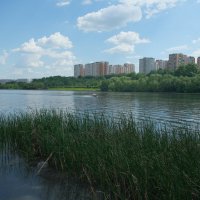 На Москве-реке. :: Лютый Дровосек На Москве-реке. :: Лютый Дровосек