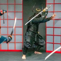 Бой самураев :: Адик Гольдфарб