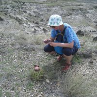 " - Так вот ты какой, цветочек аленький!" :: unix (Илья Утропов)