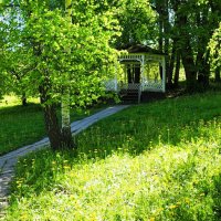 Тенистая беседка :: Милешкин Владимир Алексеевич 