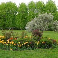 Парк Коломенское :: Лидия Бусурина