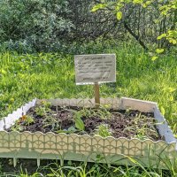 Предупреждение :) :: Валерий Иванович