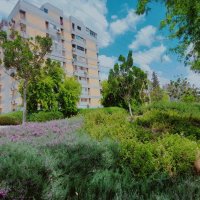 13  ОПЕН (62) :: OPEN WAYS ALL