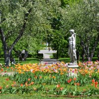 Москва. Парк Коломенское. :: Наташа ***** Москва. Парк Коломенское. :: Наташа *****