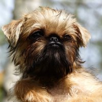 Девчонка :: kolyeretka 