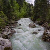 "Характер ,ой какой." р.Талгар :: LudMila "Характер ,ой какой." р.Талгар :: LudMila