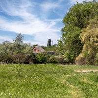 Прогулка по окрестностям :: Игорь Сикорский Прогулка по окрестностям :: Игорь Сикорский