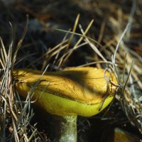 Природа :: Эдуард Куклин