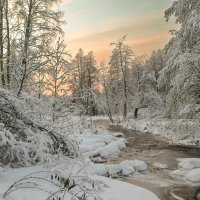 Линдуловская роща :: skijumper Иванов Линдуловская роща :: skijumper Иванов