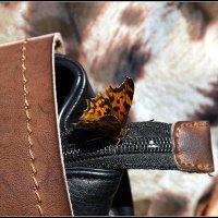 ....к взлету готова.... :: Aleksandr Gal ....к взлету готова.... :: Aleksandr Gal