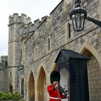 Бравый гвардеец :: Ольга 