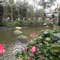 Парк «Утопия» в Израиле. :: Светлана Хращевская Парк «Утопия» в Израиле. :: Светлана Хращевская