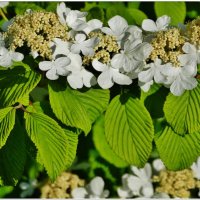 ЭТЮД... :: Elvira E. ЭТЮД... :: Elvira E.