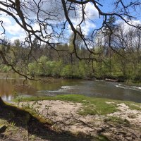 ****** :: ИННА ПОРОХОВА