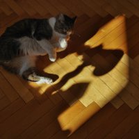 ... :: ВЛАДИМИР 