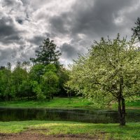 Гатчина. Утро :: Владимир Колесников