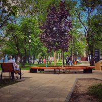 В сквере... :: Алексей Архипов