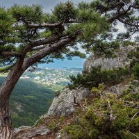 В просветах горных сосен :: Юрий Яловенко